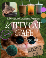 Liberations Cat House Presents: Kitty Cat Boba Cafe + Adoption Event